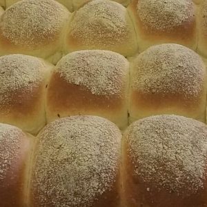 MP - Pão integral de milho verde